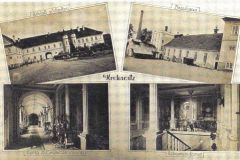 krukanice
