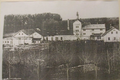 Kvasiny-02