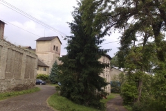 Libočany Roman Holoubek, červen 2010 05