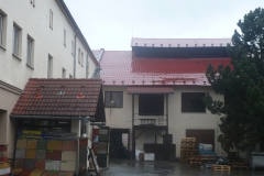 Loučka u Nového Jičína 1.3.2008  06