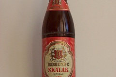 l_skalak11