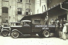 melnik-psovka