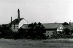 Miřejovice-03