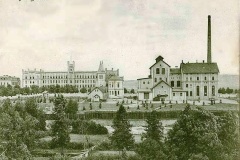 mladaboleslav-krikavuv