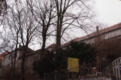 Moravská-Třebová-Zámecký-autor-Filip-Vrána-jaro-2011-06