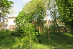 moravskatrebova_knizeci_Petr-Cikryt-04