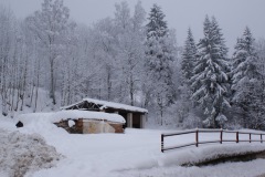 Olešnice-u-Rychnova-nad-Kněžnou-autor-Filip-Vrána-únor-2009-01