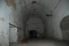 olovnice-04