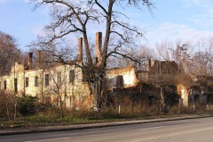 kuncice_2007