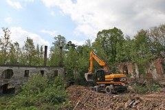 kuncice_2011