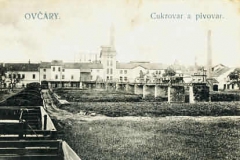 Ovcary_02