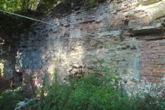 Pivoň-autor-Luděk-Gasseldorfer-říjen-2011