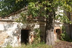 Plavnice-autor-Filip-Vrána-léto-2009-04