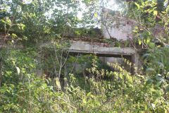 Plavnice-autor-Filip-Vrána-léto-2009-06