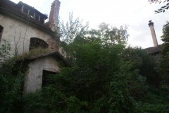 Plavnice-autor-Filip-Vrána-léto-2009-12