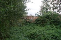 Plavnice-autor-Filip-Vrána-léto-2009-14