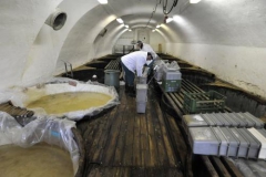 Plzeň-Křimice novy Luděk Gasseldorfer, říjen 2010 01