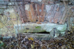 Plzeň-Křimice starý Luděk Gasseldorfer, říjen 2010 01