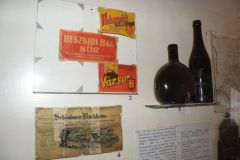 Podhorjany_Vladislav-Kopriva-cerven-2009-01