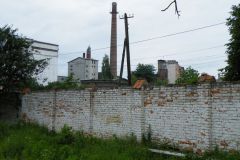 Podhorjany_Vladislav-Kopriva-cerven-2009-17