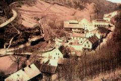 podkovan-01