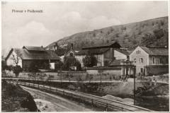 podkovan01