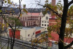 branik_Eduard-Serba