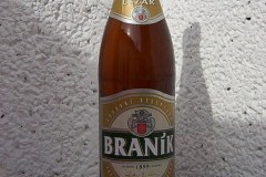 l_branik12