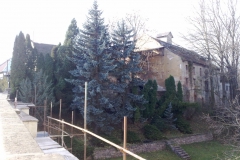 Predhradi-autor-Roman-Holoubek-podzim-2009-03