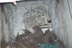 Prostějov-Akciovy-2011-19