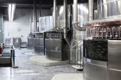Foto_Pivovar_Radegast_Varna_Jaromira_Franzla