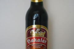 l_bakalarpltm_2011