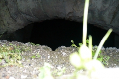 Razová-11.6.2011-03