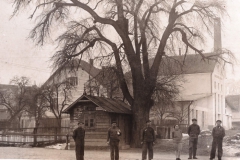 Říčany_u_Brna_lihovar__z_archivu_obce_01