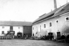 škvorec1911_Pivety
