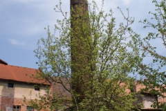 Smiřice-autor-Filip-Vrána-duben-2011-13