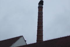 soběslav-autor-Jiří-Pertlík-červen-2009-15