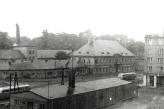 sokolov