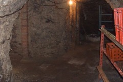 stare-mitrovice-autor-Jiri-Pertlik-březen-2014-19