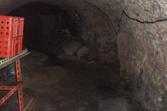 stare-mitrovice-autor-Jiri-Pertlik-březen-2014-20