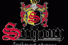 logosvijany