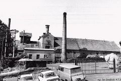 svijany-16