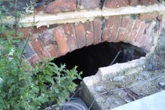 Svinna-Ludek-Gasseldorfer-leto-2011-03