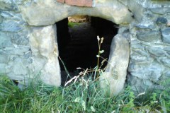 Svinna-Ludek-Gasseldorfer-leto-2011-04