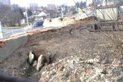 Čtyřicet-Lánů-bourání-autor-Ondřej-Nedopil-březen-2011-08