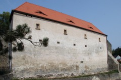 svojanov-01