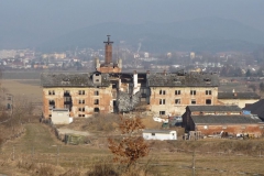 Třemešek 11