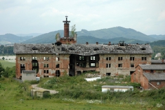 Třemešek 2005 01