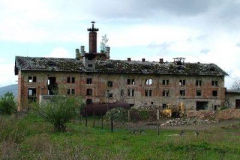 Třemešek 2005 04