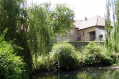 Trnová 02